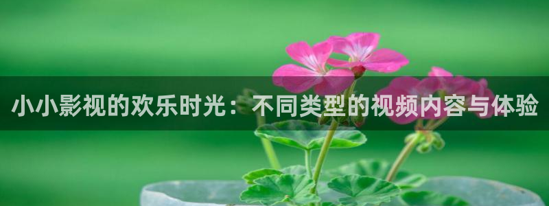久久国产精品麻豆影视：小小影视的欢乐时光：不同类型的视频内容与体验