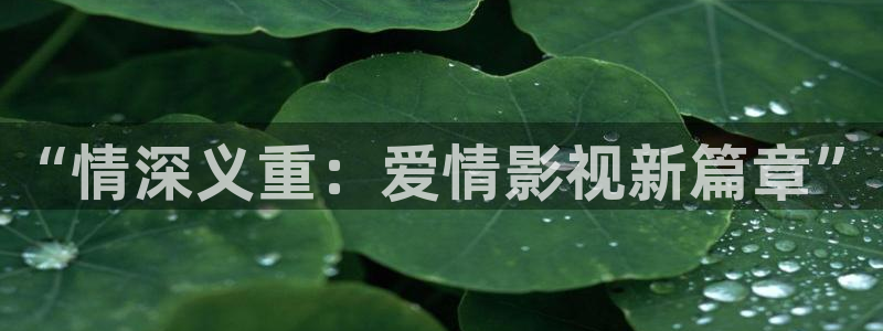 麻豆原创电影：“情深义重：爱情影视新篇章”
