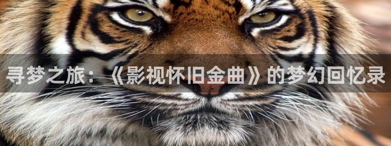 麻豆影视永久免费：寻梦之旅：《影视怀旧金曲》的梦幻回忆录