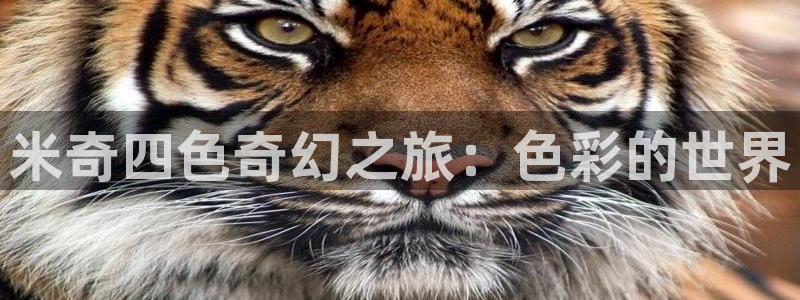麻豆影院在线：米奇四色奇幻之旅：色彩的世界