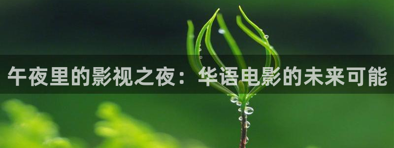 麻豆影视日韩二区：午夜里的影视之夜：华语电影的未来可能