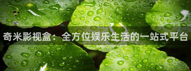 麻豆网络电影：奇米影视盒：全方位娱乐生活的一站式平台