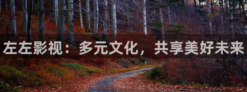 亚洲影视麻豆：左左影视：多元文化，共享美好未来