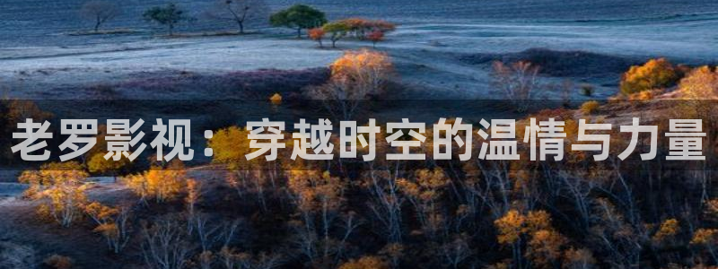 麻豆出品在线播放：老罗影视：穿越时空的温情与力量