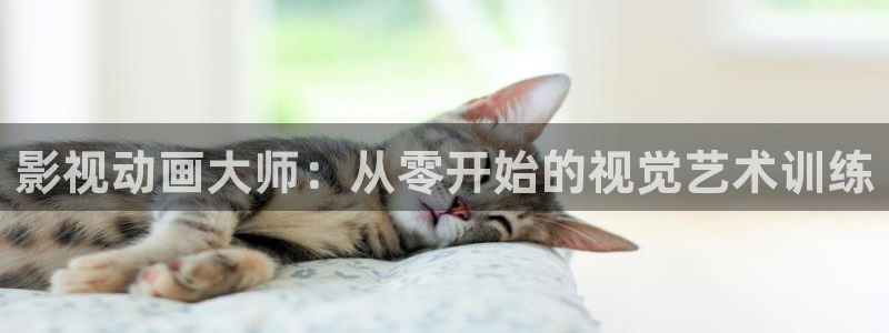 麻豆大片：影视动画大师：从零开始的视觉艺术训练