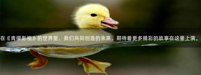 91高清麻豆：在《青檬影视》的世界里，我们共同创造的未来，期待着更多精彩的故事在这里上演。