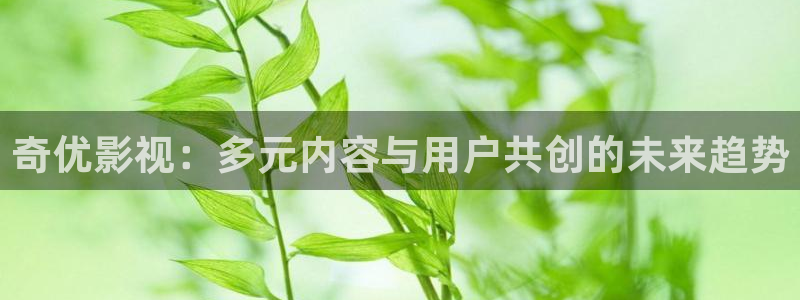 麻豆狠操高清：奇优影视：多元内容与用户共创的未来趋势